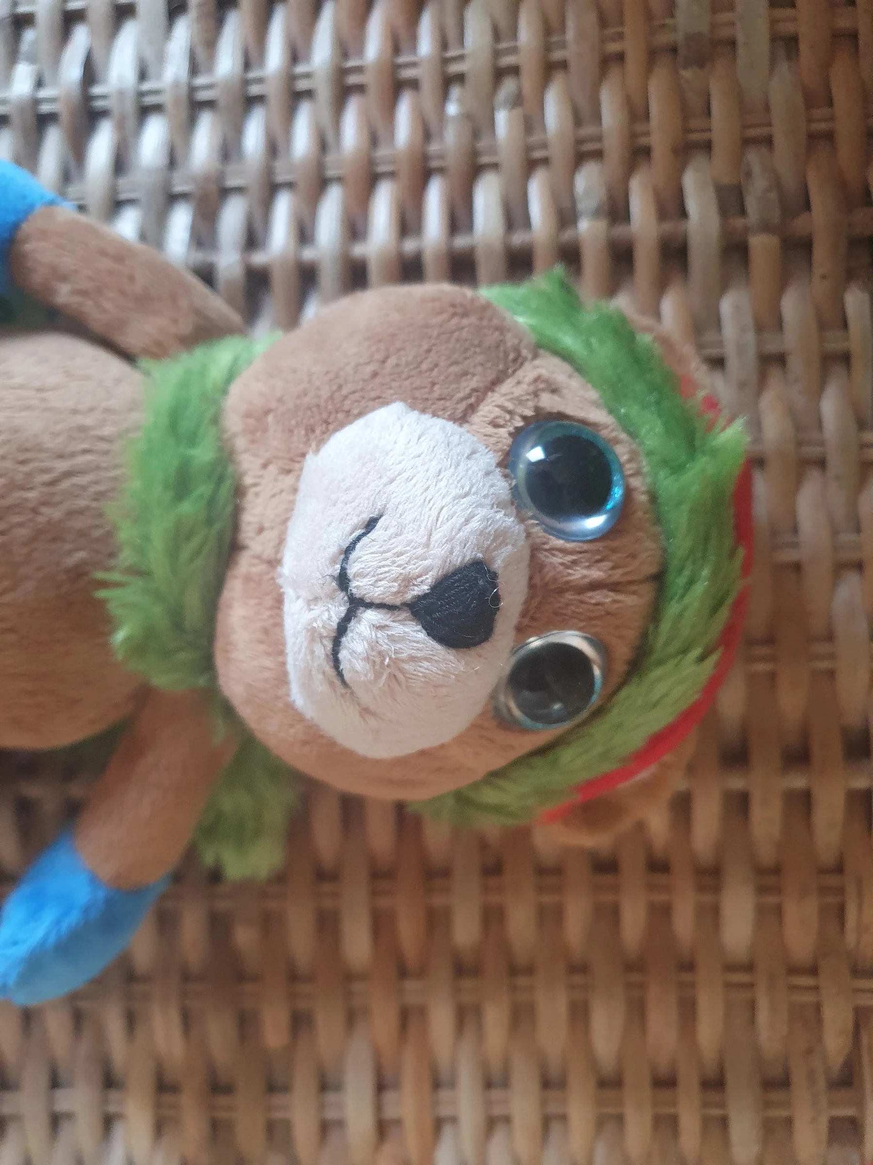 Urso – photo 3